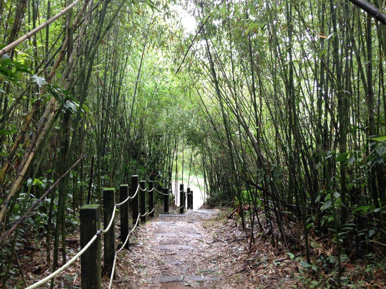 Alishan Mao Hsin Fenchihu Exterior foto